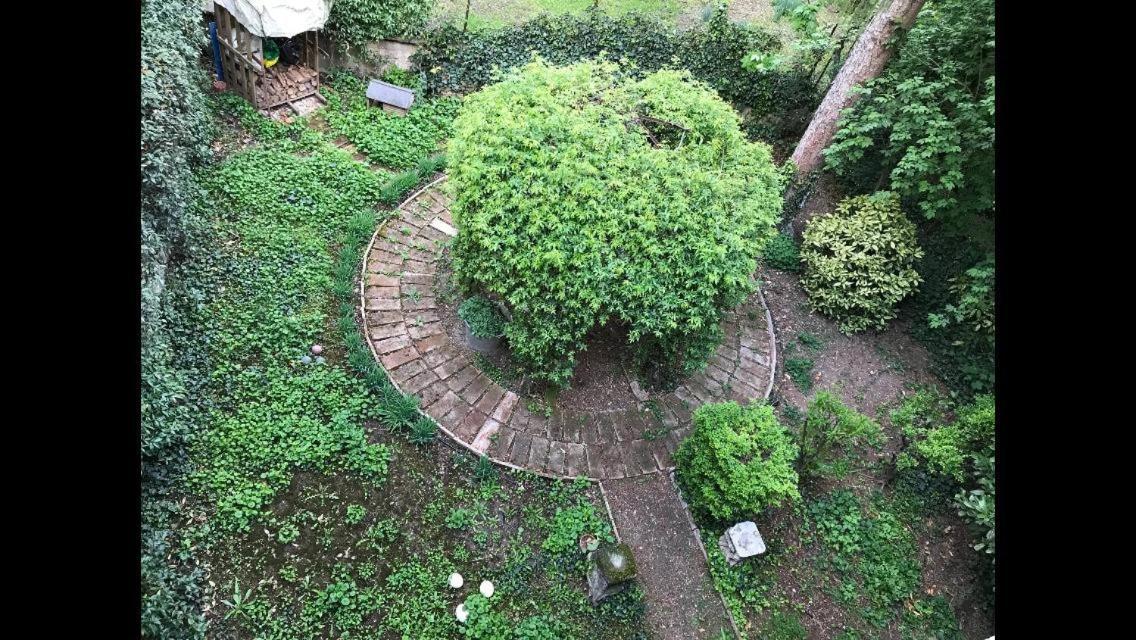Casa Luminosa Con Giardino In Centro Storico Leilighet Reggio Emilia Eksteriør bilde